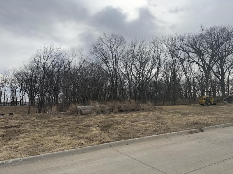 Lot 54 Madden Addition Tiffin IA 52340