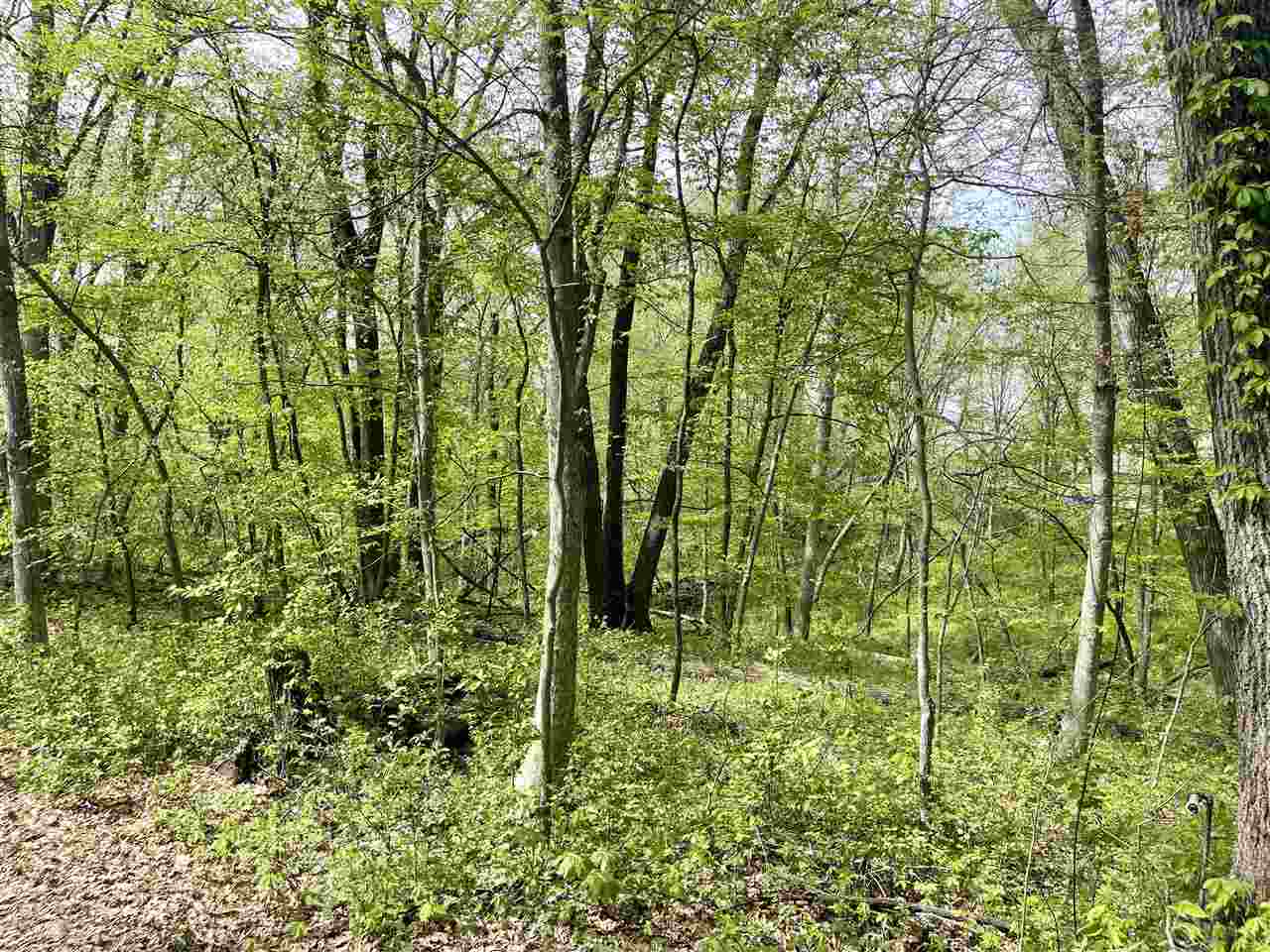 6 Acres S Park Road Tiffin IA 52340