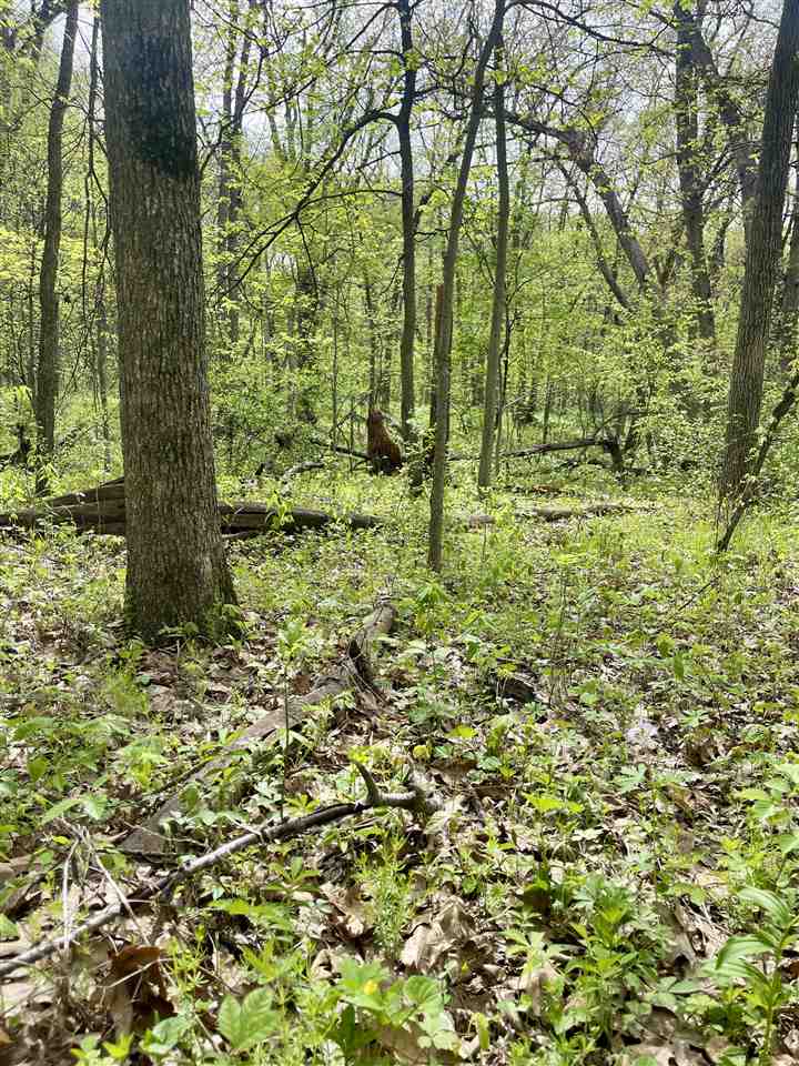 6 Acres S Park Road Tiffin IA 52340