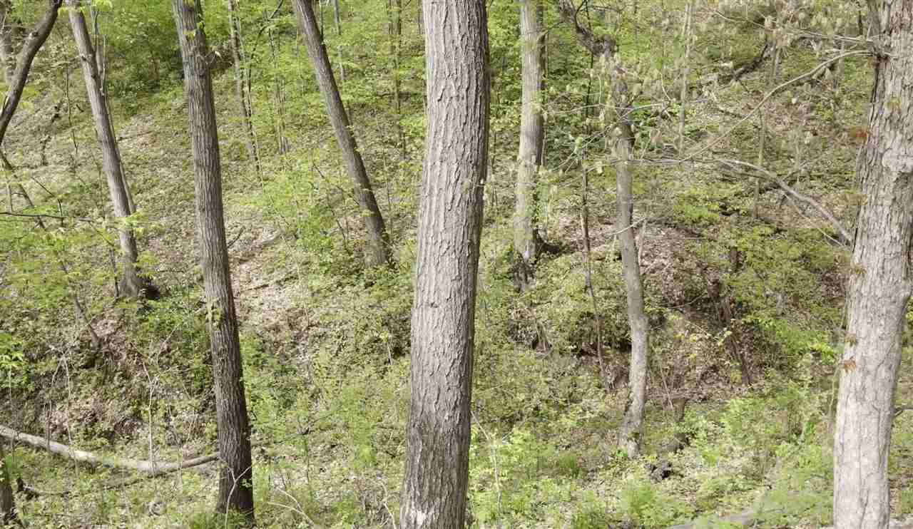 6 Acres S Park Road Tiffin IA 52340