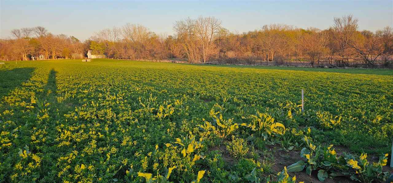 Lot 62 Timberline Estates Riverside IA 52327
