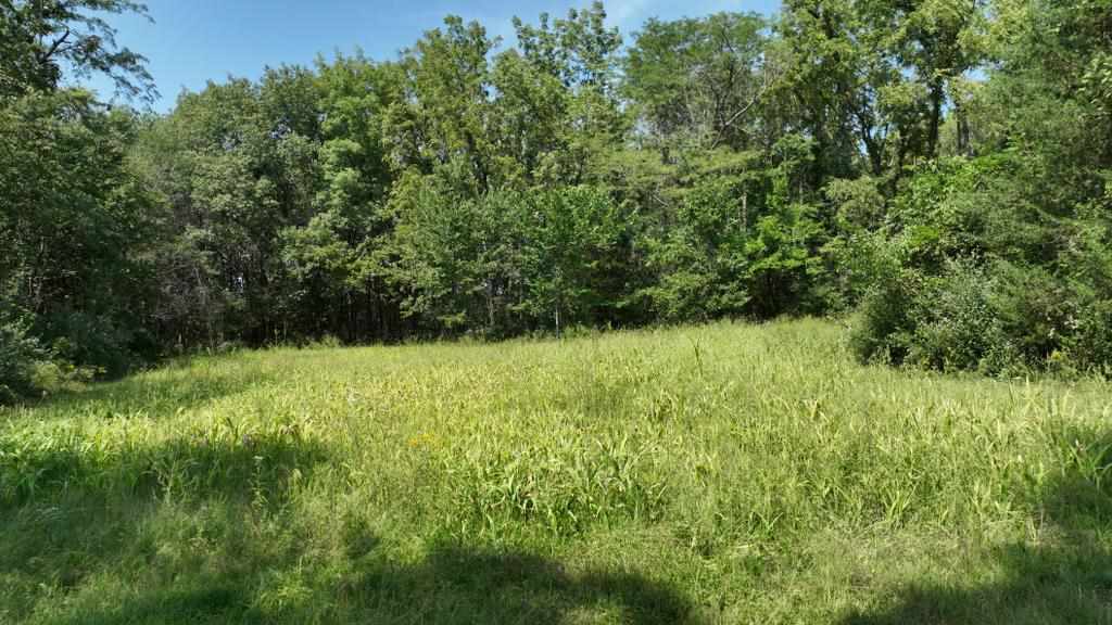 2681 Casey Avenue Letts IA 52754