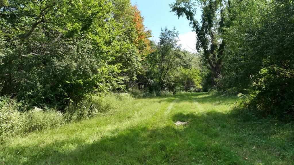 2681 Casey Avenue Letts IA 52754