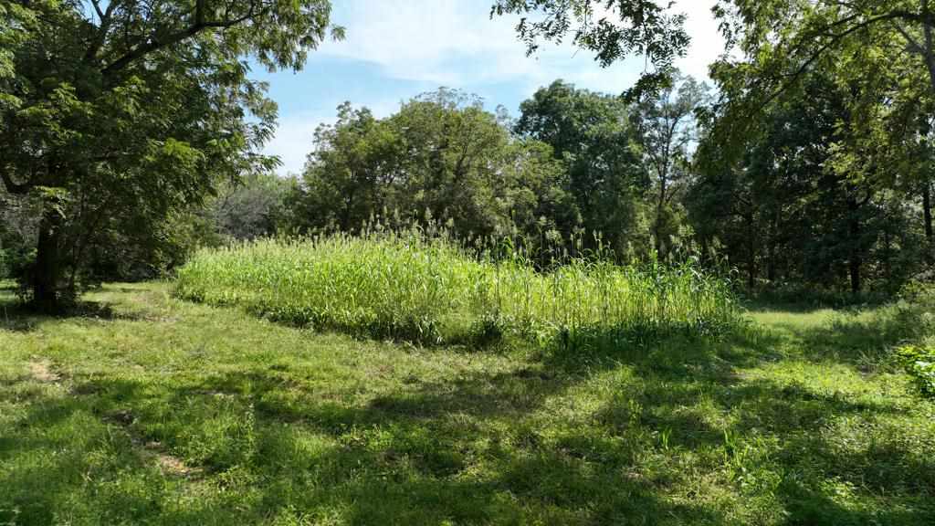 2681 Casey Avenue Letts IA 52754