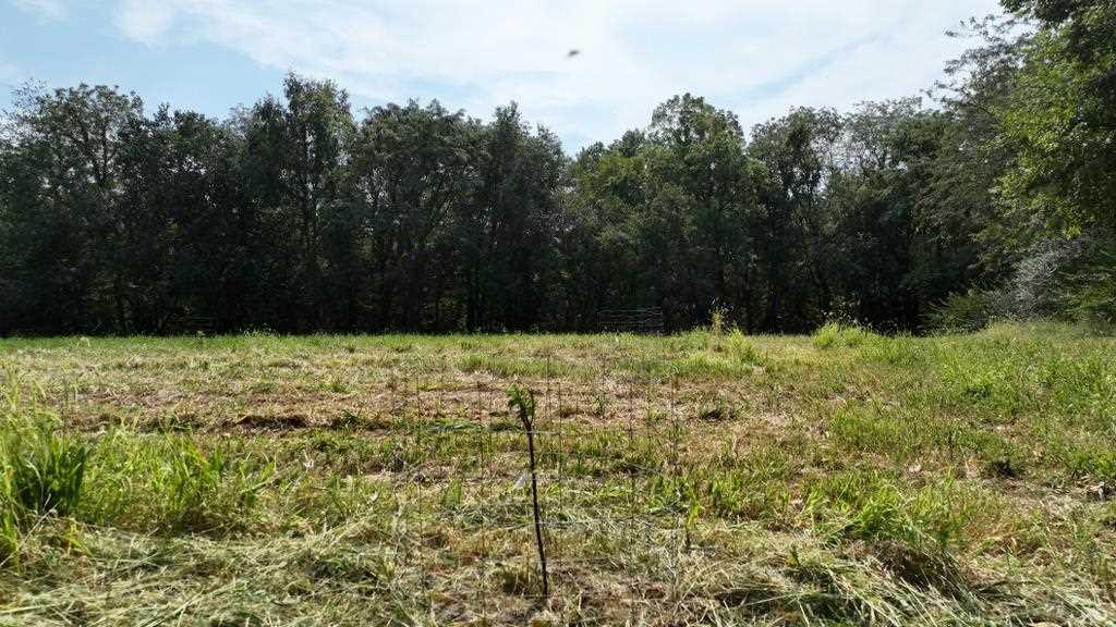 2681 Casey Avenue Letts IA 52754