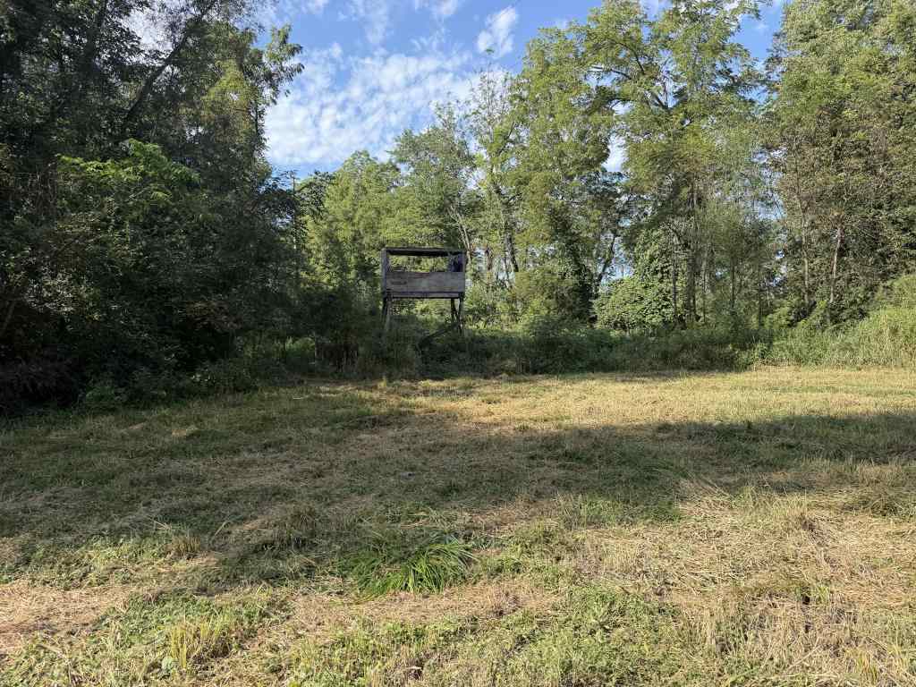2681 Casey Avenue Letts IA 52754