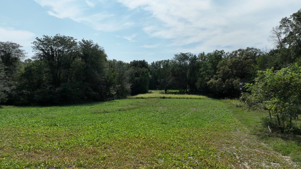2681 Casey Avenue Letts IA 52754