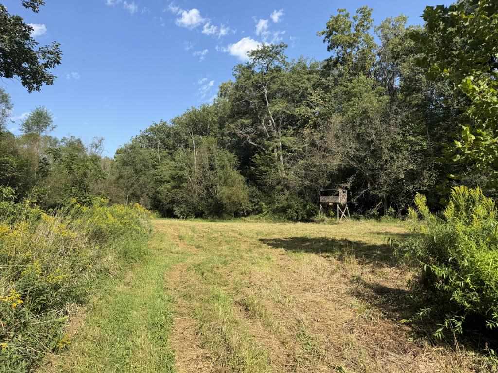 2681 Casey Avenue Letts IA 52754