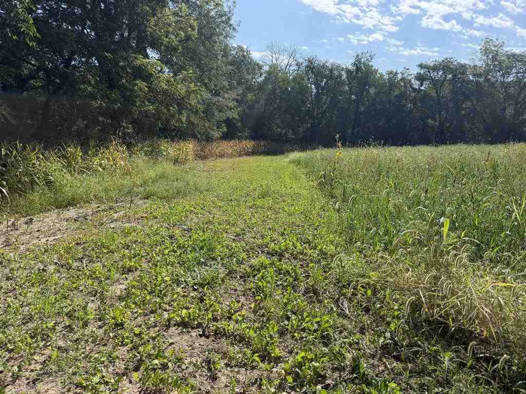 2681 Casey Avenue Letts IA 52754
