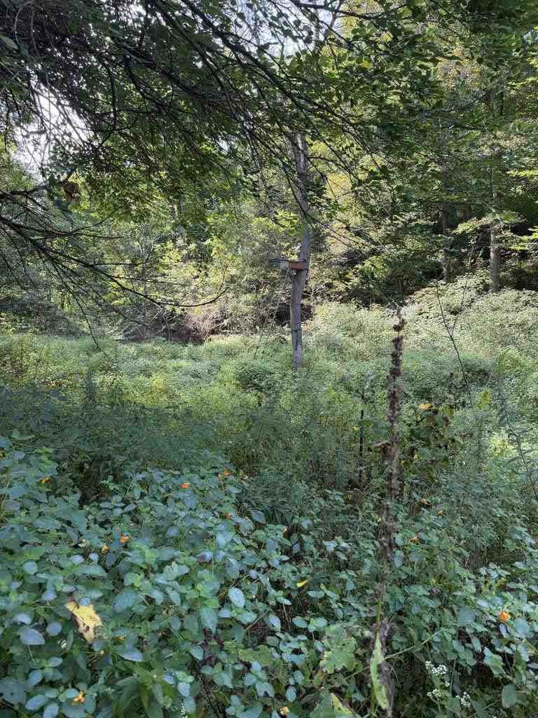 2681 Casey Avenue Letts IA 52754