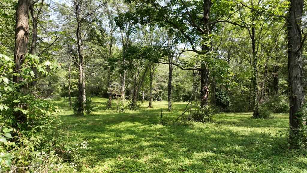 2681 Casey Avenue Letts IA 52754