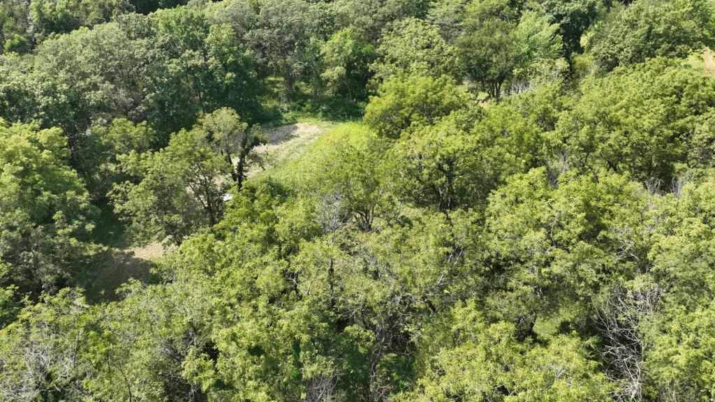 2681 Casey Avenue Letts IA 52754