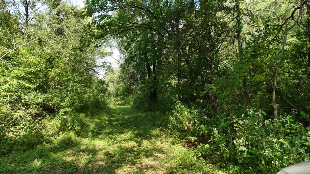 2681 Casey Avenue Letts IA 52754