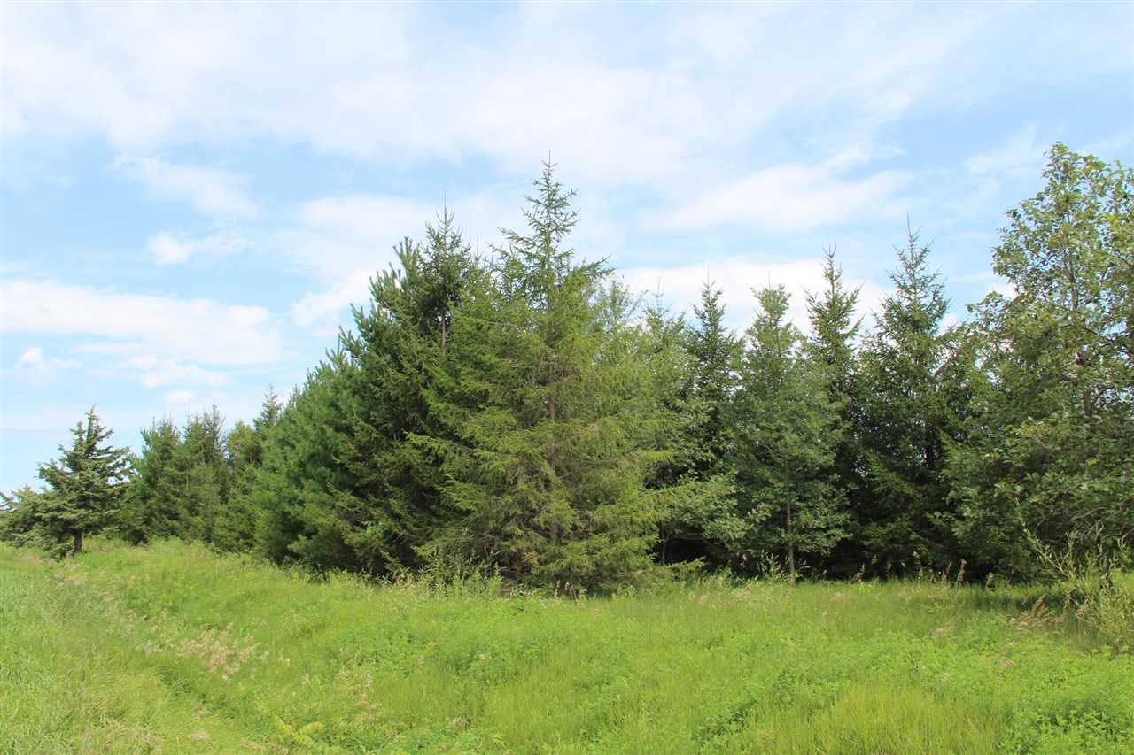 5 Acres Wapsi Avenue NE Iowa City IA 52240