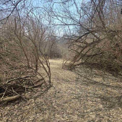 Lot 5 Kenruth Circle NE Iowa City IA 52240