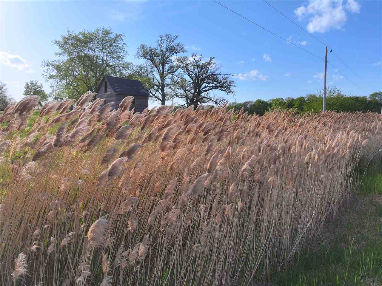 240TH Avenue Sigourney IA 52591