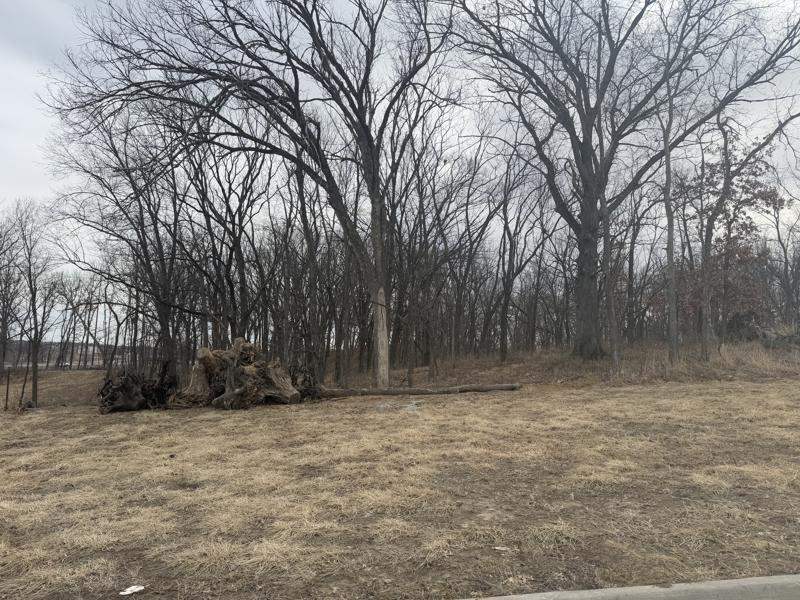 Lot 53 Madden Addition Tiffin IA 52340