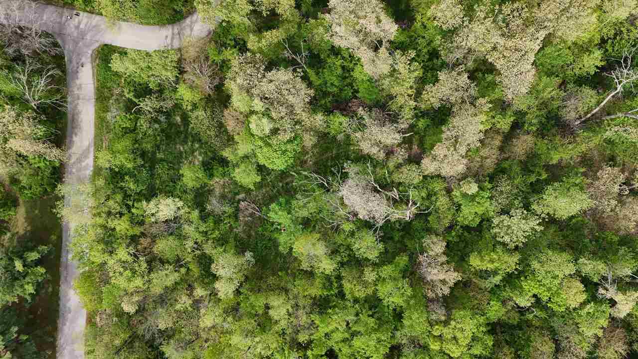 Lot 23 Blackberry Lane Cedar Rapids IA 52403