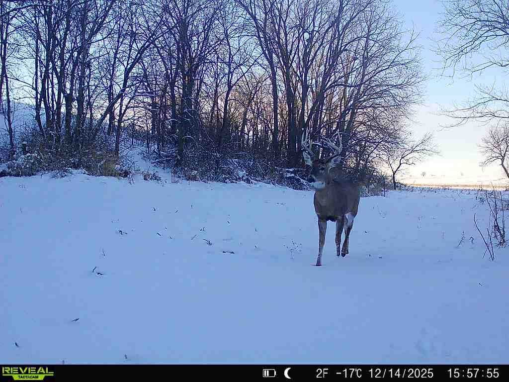 2087 520th Avenue Deep River IA 52222