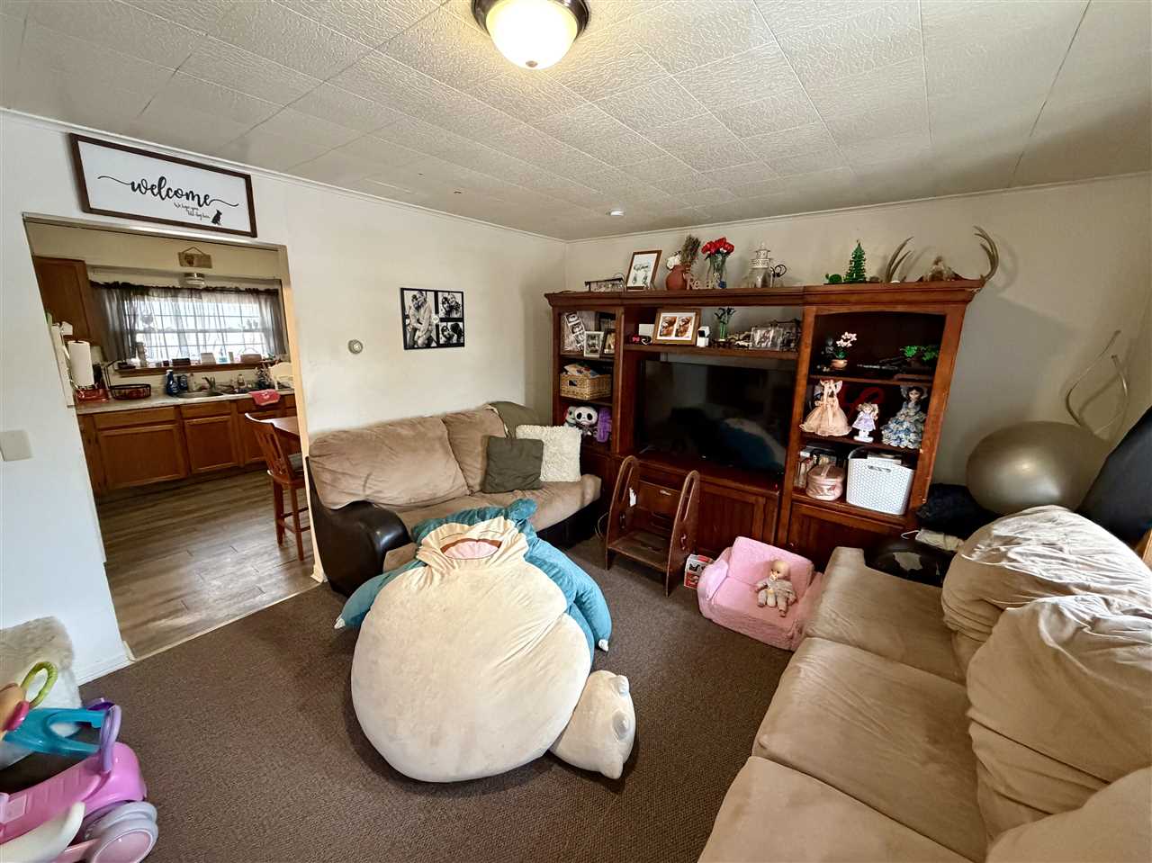 4304 V Street Homestead IA 52236