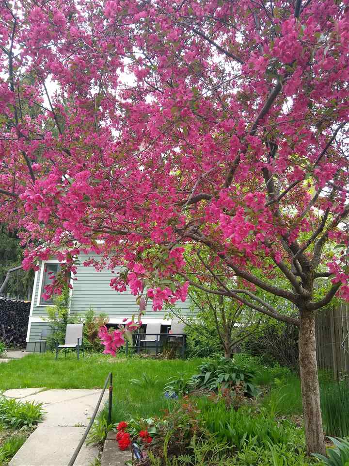 918 E Washington Street Iowa City IA 52240