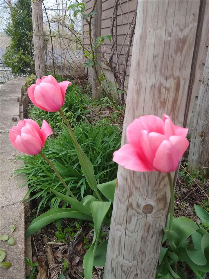 918 E Washington Street Iowa City IA 52240