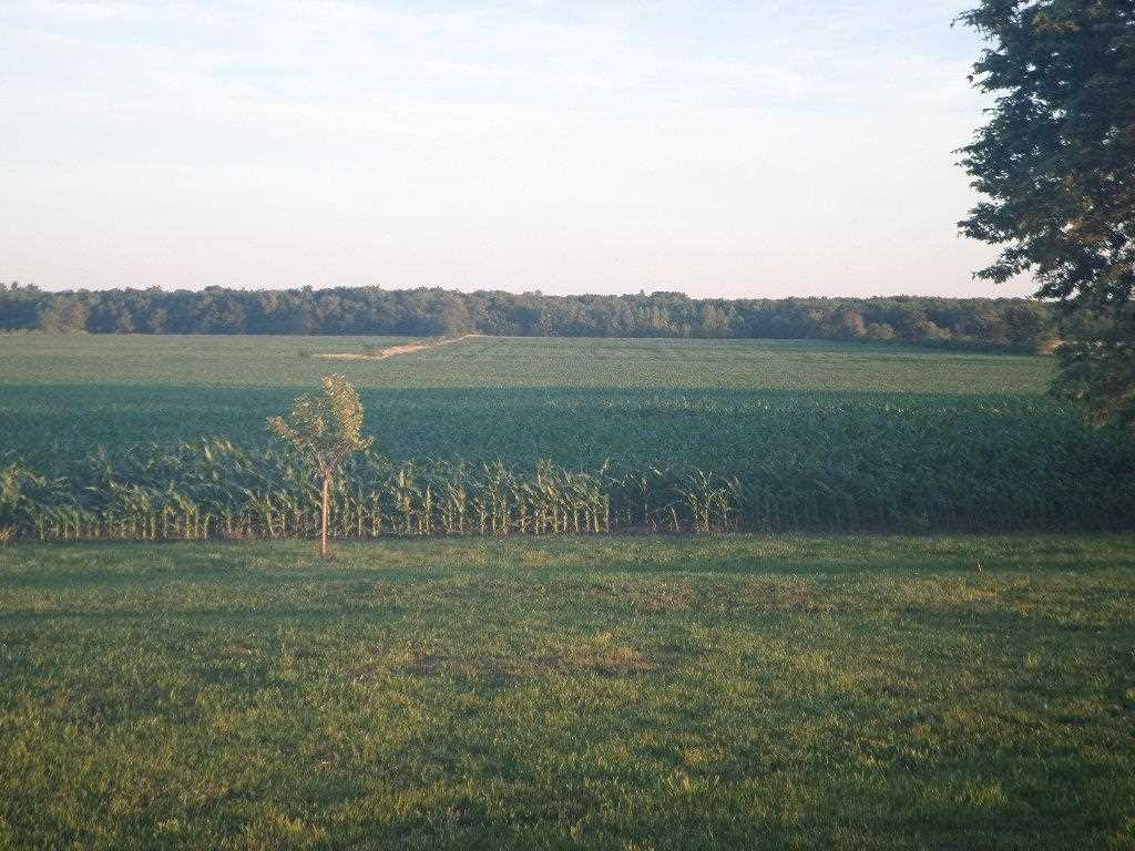 2789 Highway 22 Riverside IA 52327