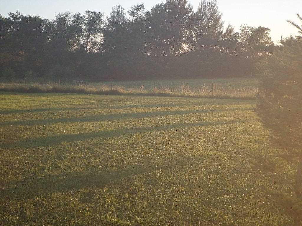 2789 Highway 22 Riverside IA 52327