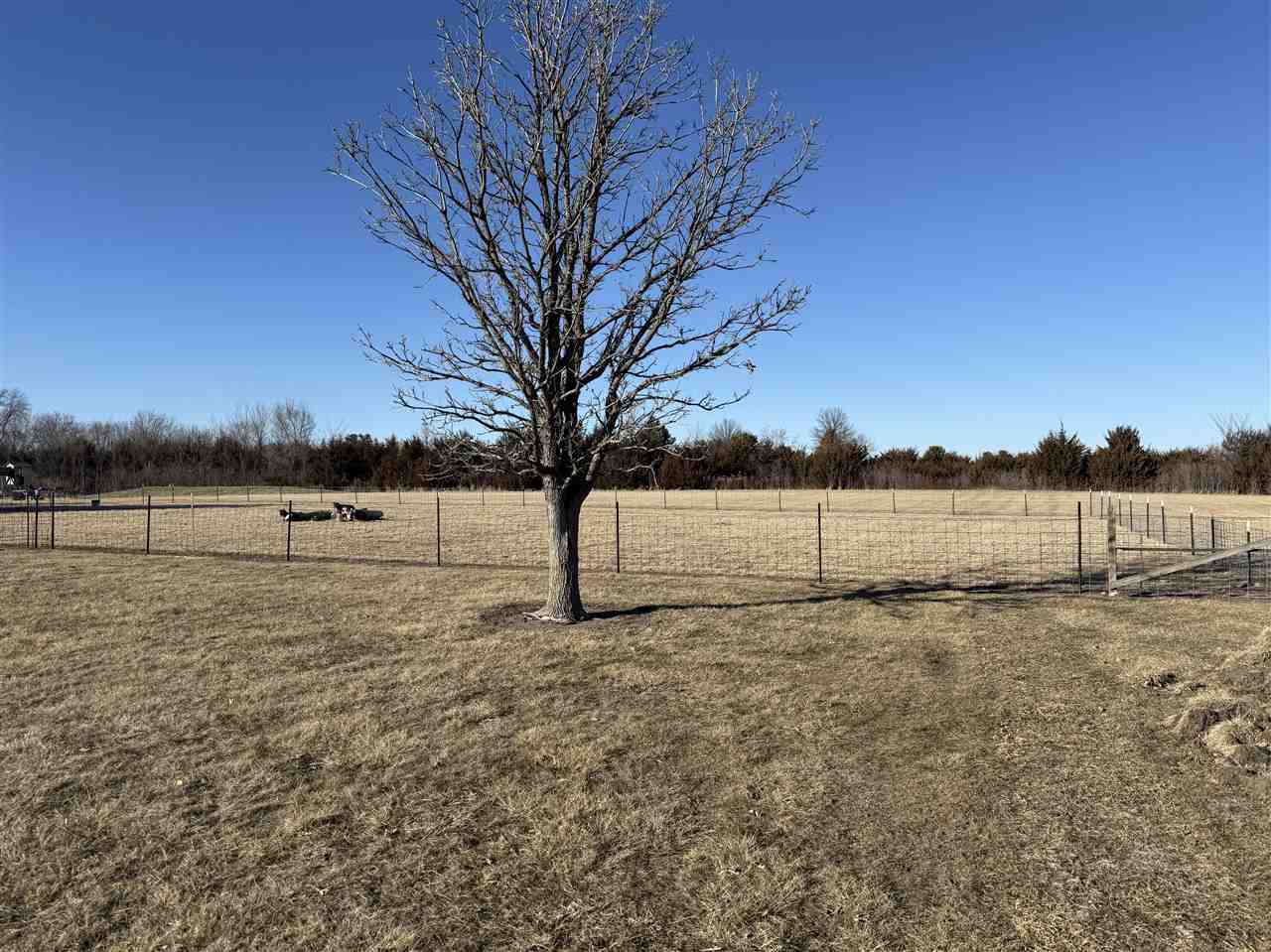 1360 Remley Street North Liberty IA 52317
