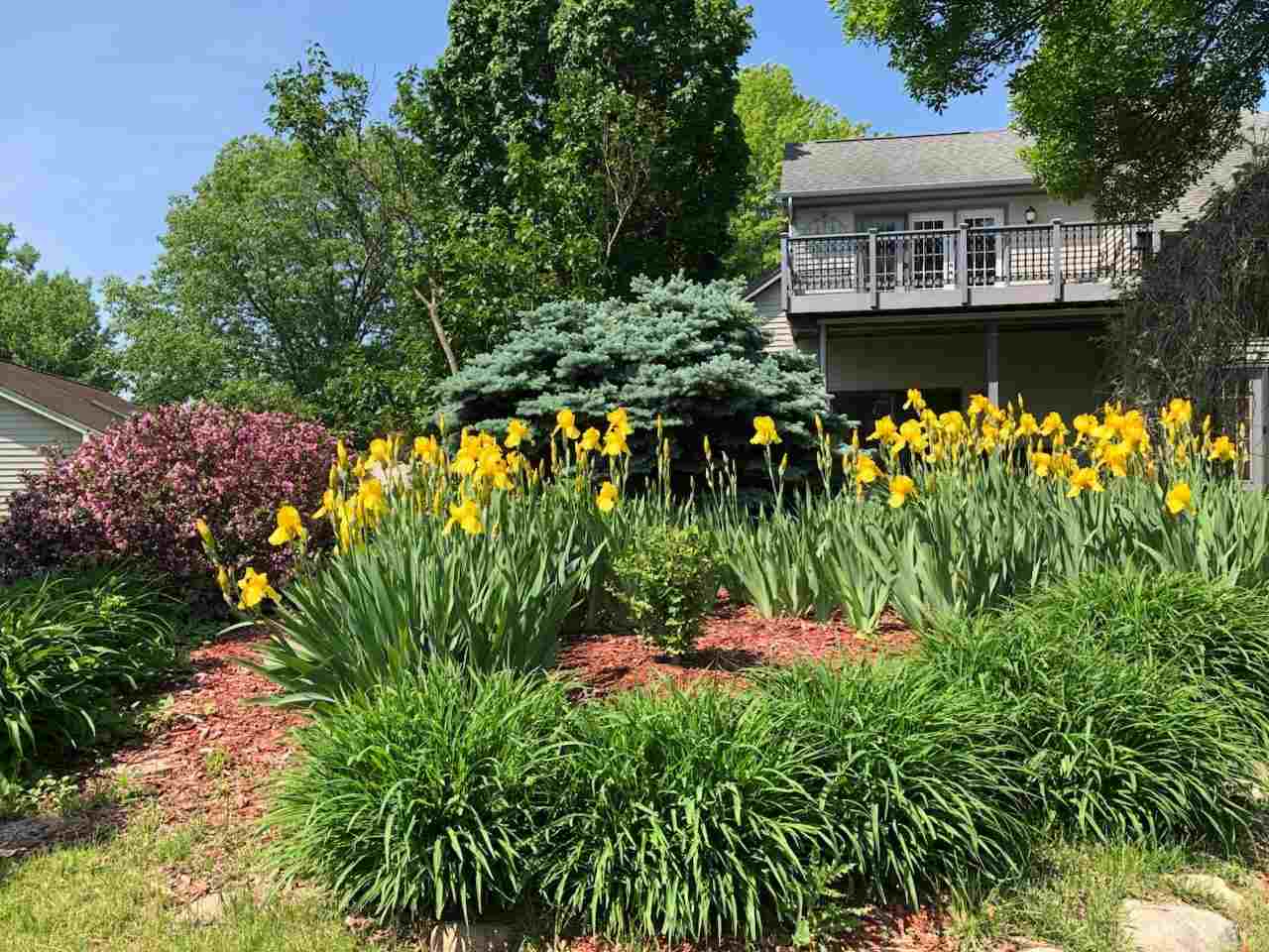 1701 Brown Deer Road Coralville IA 52241