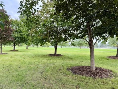 1094 Cory Court North Liberty IA 52317