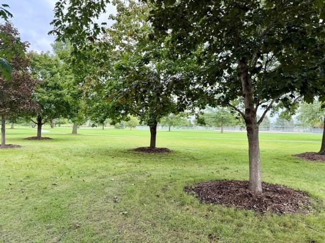 1094 Cory Court North Liberty IA 52317