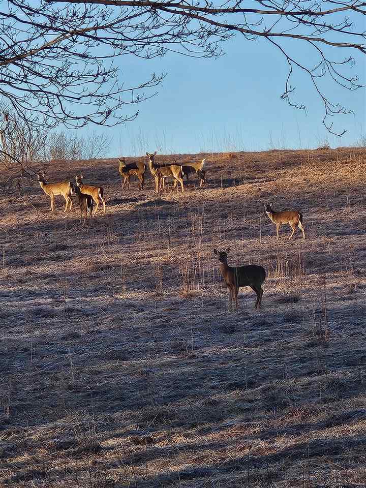 12401 229th Avenue Anamosa IA 52205