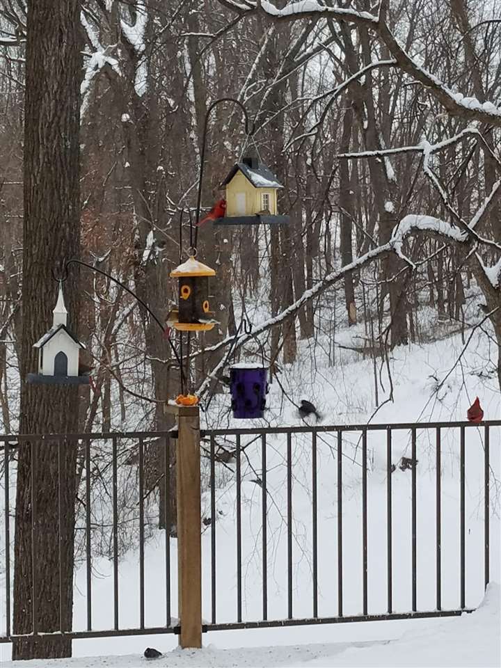 12401 229th Avenue Anamosa IA 52205