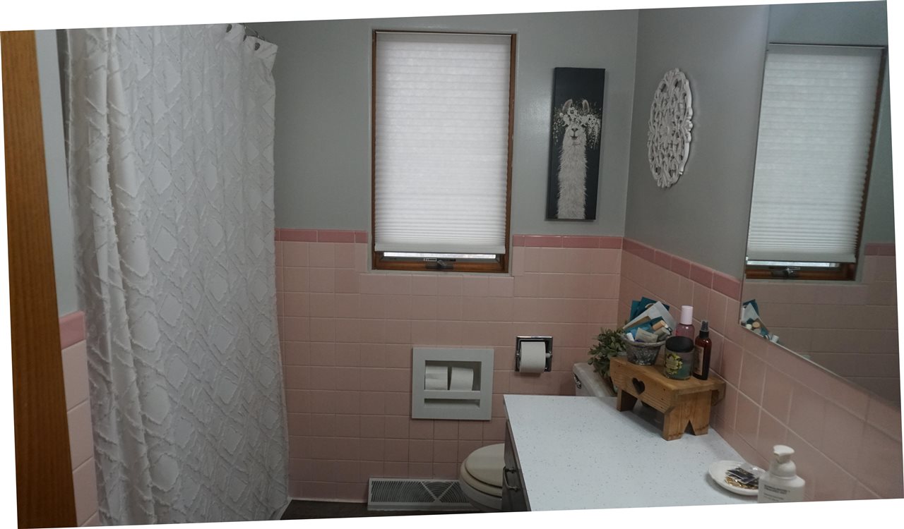 102 Rice Street Lone Tree IA 52755