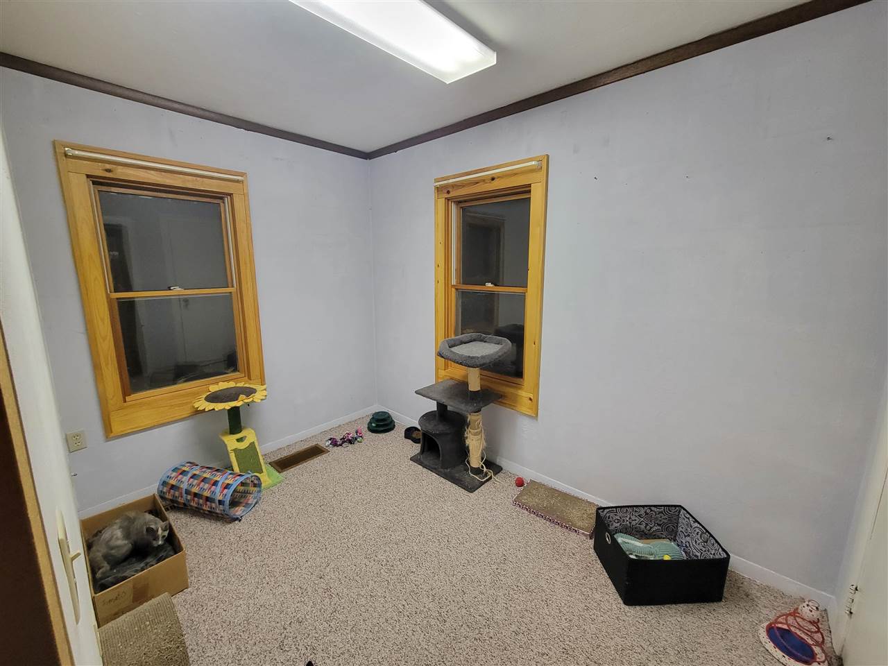 718 5th Avenue Place Coralville IA 52241