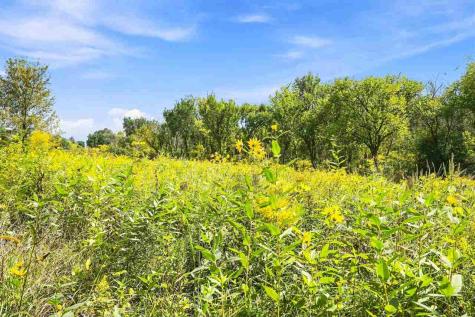 1355 220th Street IA 50645