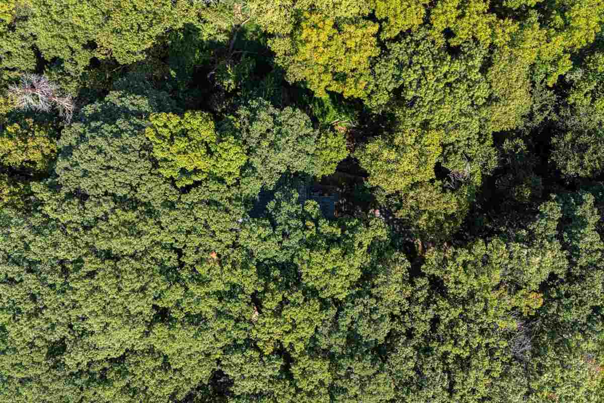 7 The Woods Iowa City IA 52240