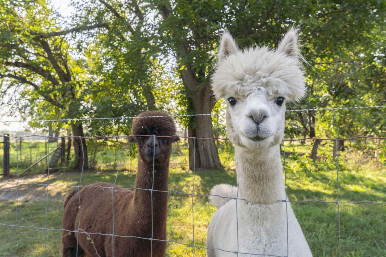 3332 Portwood Drive Homestead IA 52236