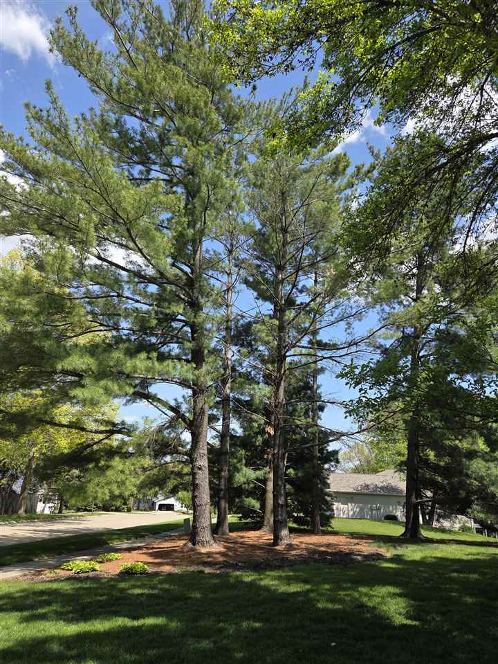 615 Pine Ridge Road Coralville IA 52241