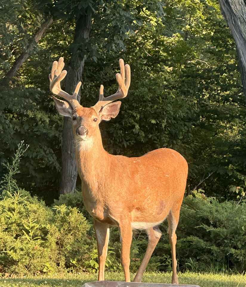 3100 Blue Ridge Court NE Cedar Rapids IA 52402