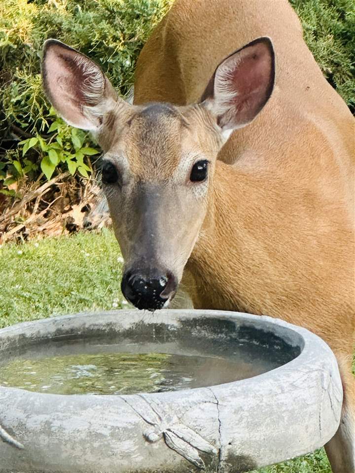 3100 Blue Ridge Court NE Cedar Rapids IA 52402