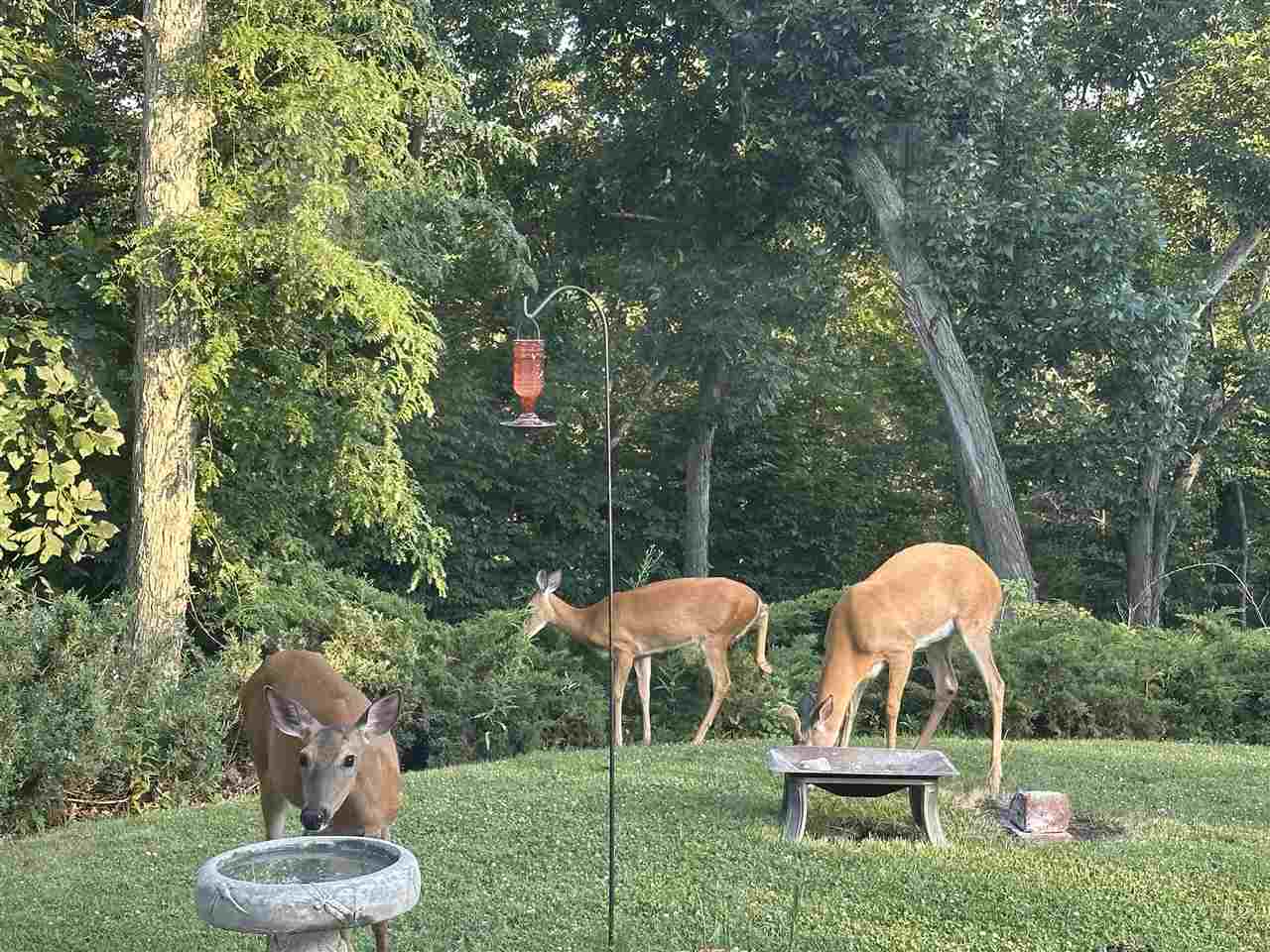 3100 Blue Ridge Court NE Cedar Rapids IA 52402