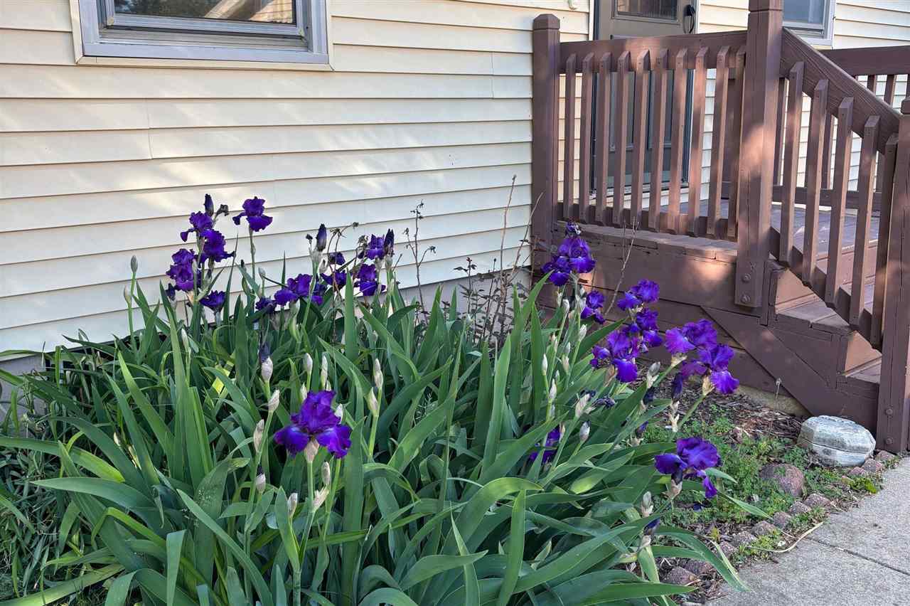 829 Timberline Road Monticello IA 52310