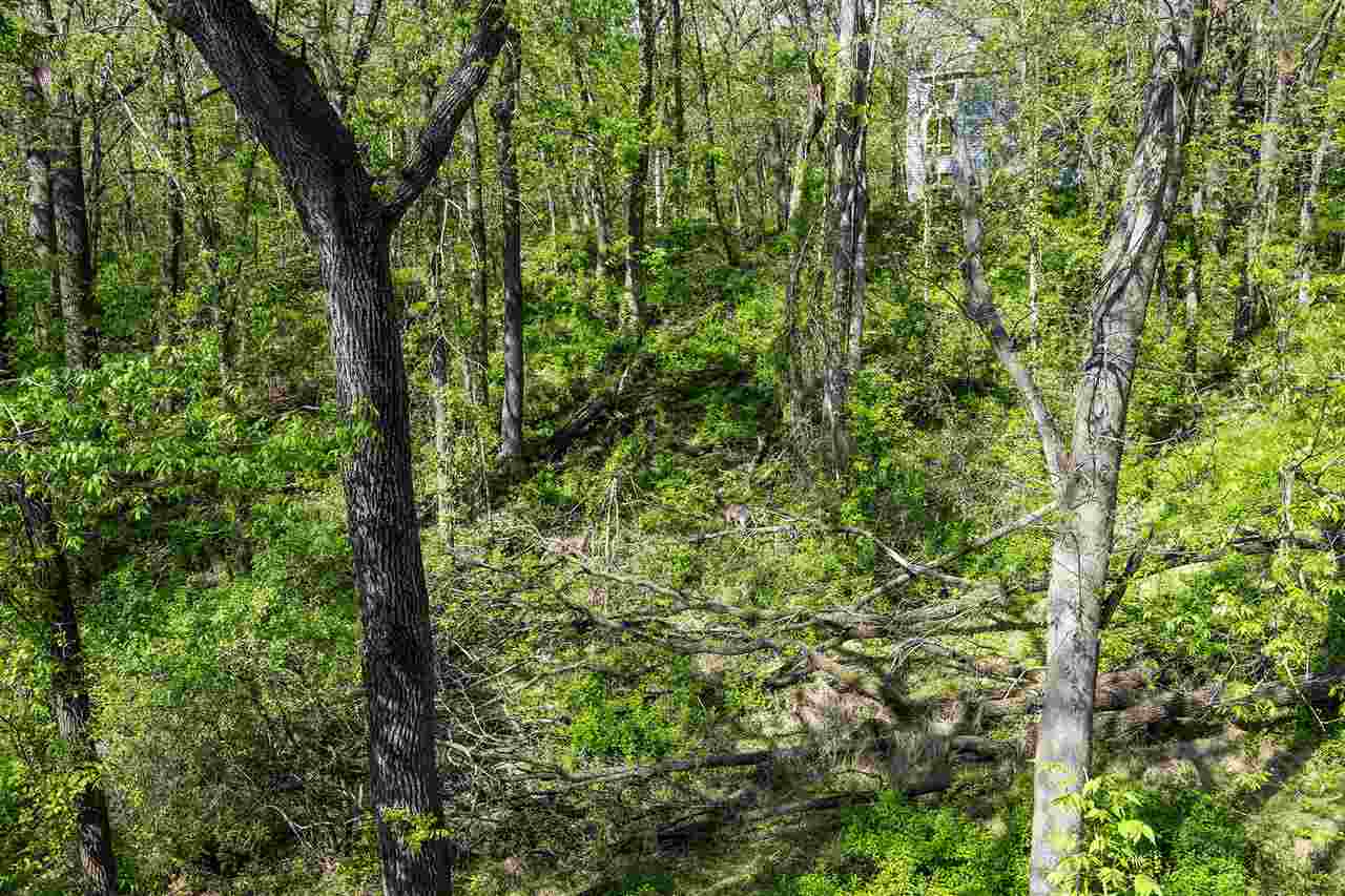 3009 Woodland Ridge Drive NE Iowa City IA 52240