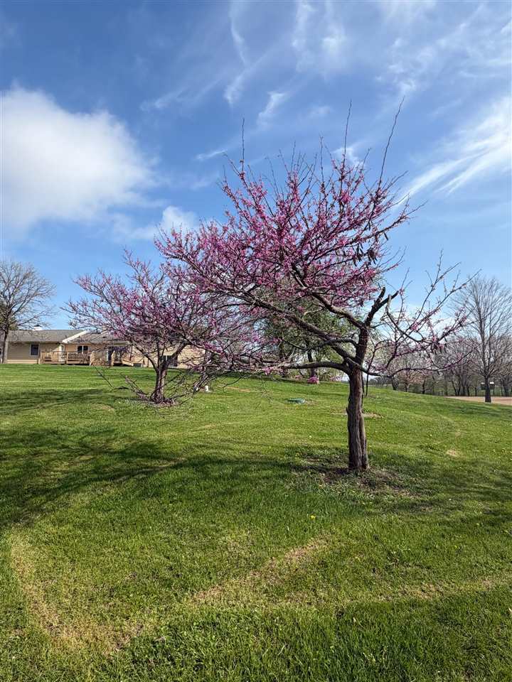5325 Herbert Hoover Highway NE West Branch IA 52358