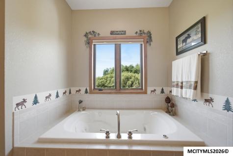 14728 Ulmus Avenue Nora Springs IA 50458