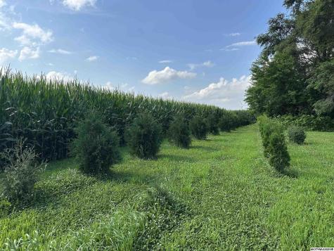 4448 Ulmus Avenue Kensett IA 50448