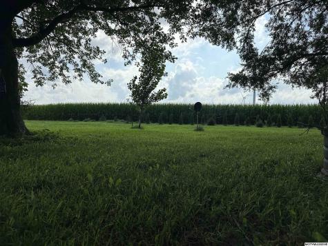 4448 Ulmus Avenue Kensett IA 50448