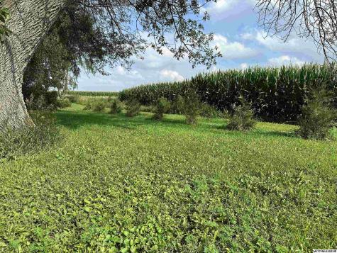 4448 Ulmus Avenue Kensett IA 50448